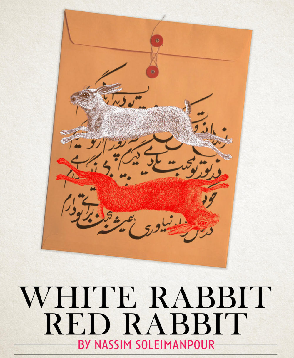 White Rabbit, Red Rabbit- LIVE STREAMED SHOW | Perseverance Theatre